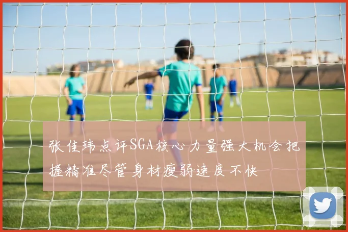 张佳玮点评SGA核心力量强大机会把握精准尽管身材瘦弱速度不快